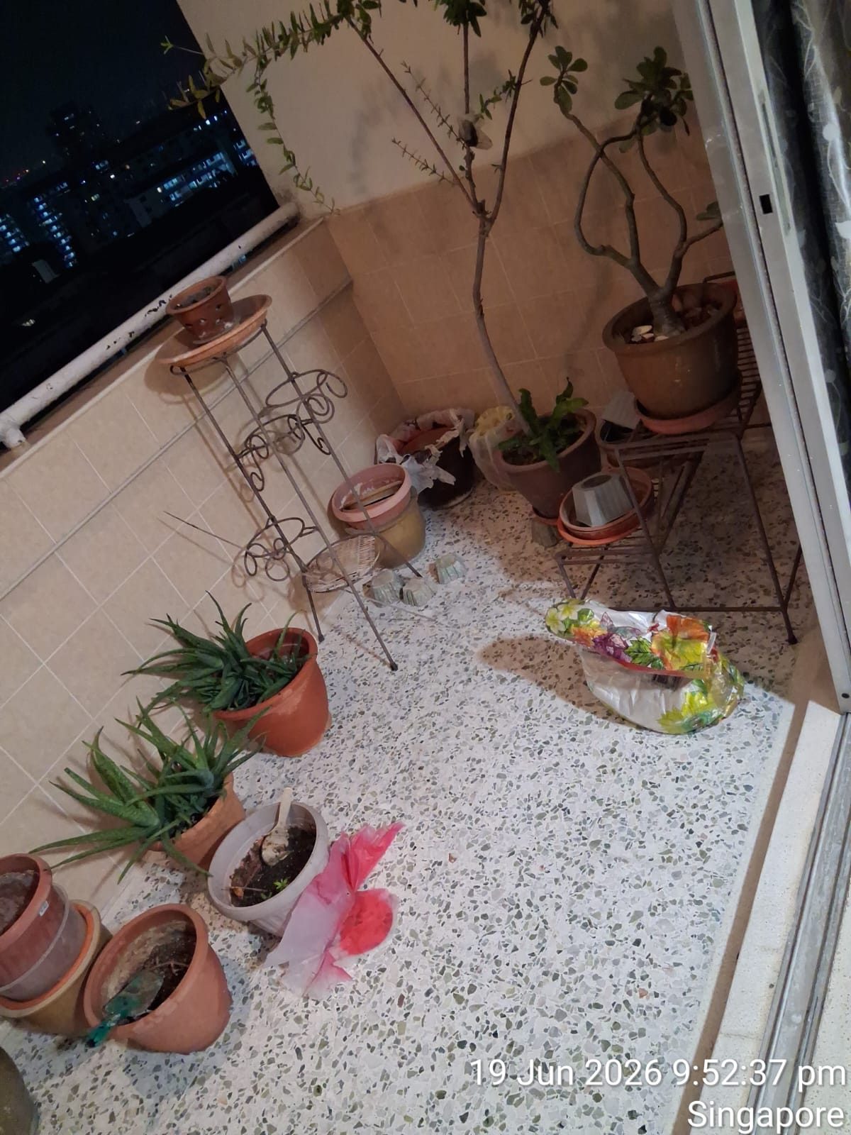 Terrazzo balcony floor with potted plants, before final clean-up